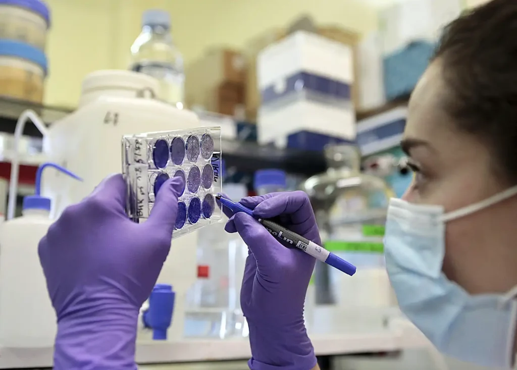 Avances Prometedores en la Lucha Contra el Cáncer de Páncreas: Un Nuevo Tratamiento Experimental