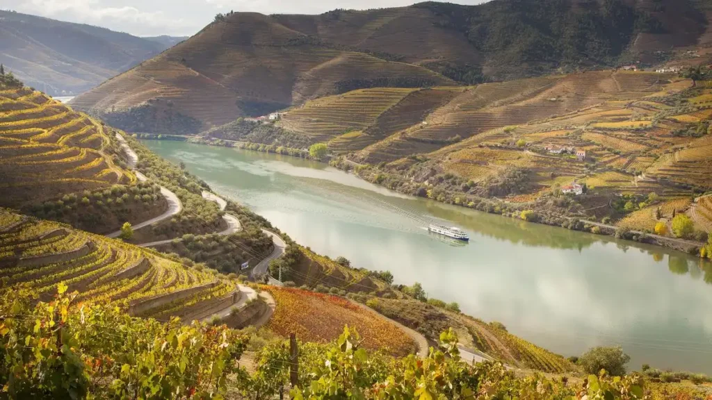 Descubriendo el Encanto del Valle del Douro en Otoño