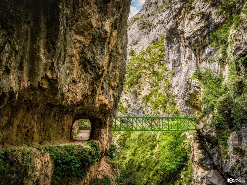 Explorando Rutas Cortas para Disfrutar de la Naturaleza en España