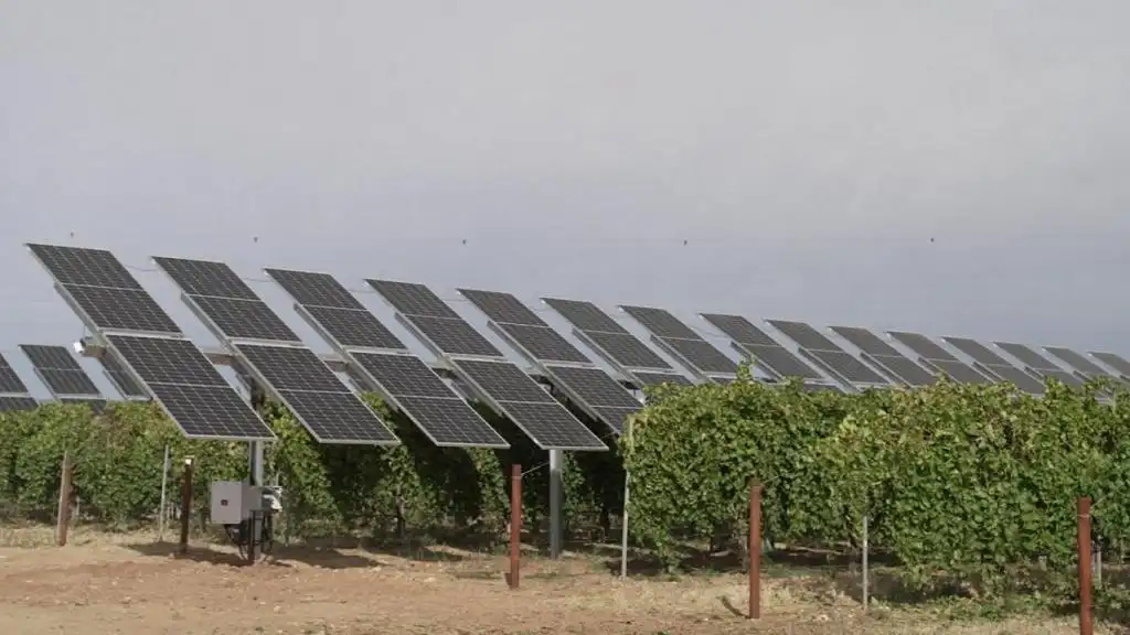 Iberdrola y su Desafío en la Energía Renovable en Euskadi