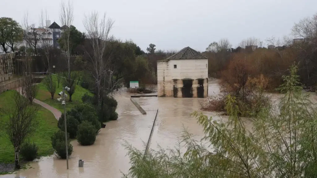 Impacto de la Borrasca Leonardo en Andalucía: Lluvias, Inundaciones y Medidas de Emergencia