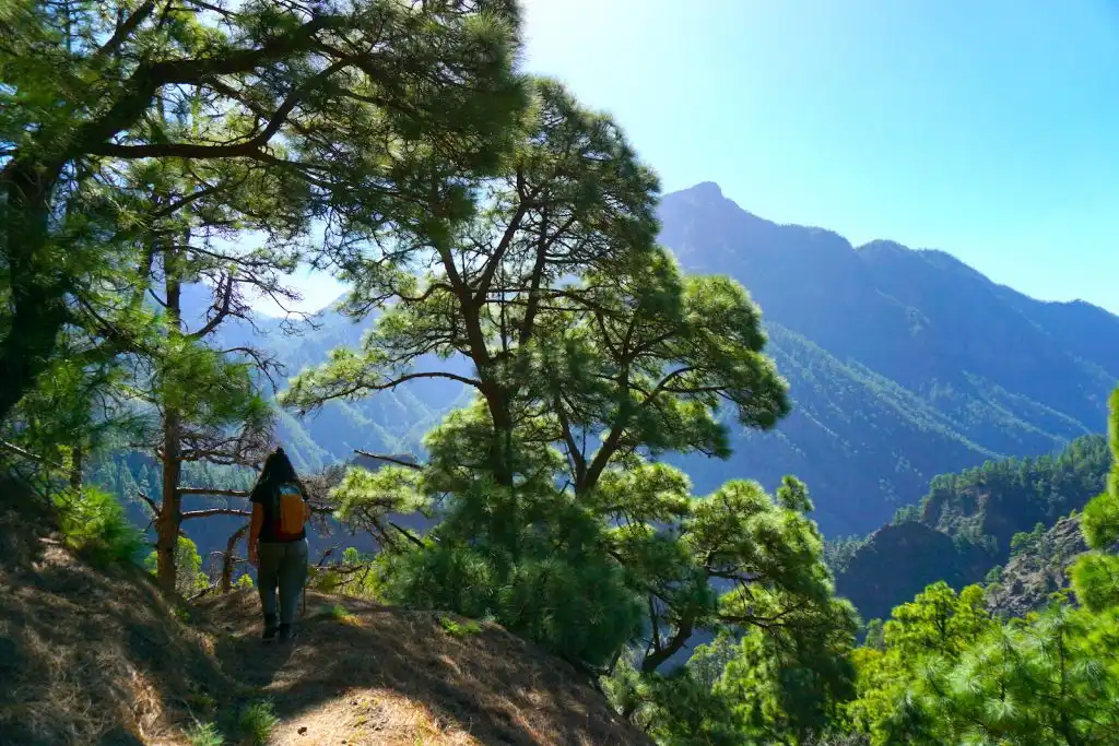 La Palma: Un Paraíso de Naturaleza y Aventura en el Atlántico